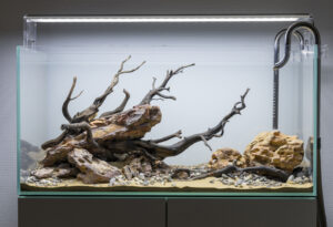 Terrarium aménagé avec du sable, des roches naturelles et des branches de bois sous un éclairage UVB, prêt à accueillir un reptile.